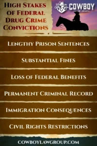 get yourself a cowboy lawyer to help if you're facing federal drug charges