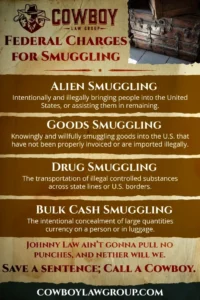 Graphic explaining federal human trafficking law and criminal charges handled by The Woodlands human trafficking defense lawyer