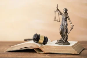 Shoplifting attorney, larceny attorney, shoplifting and larceny attorney, shoplifting charges, larceny charges, shoplifting and larceny defense attorney, larceny criminal defense attorney in Texas, shoplifting attorney in Texas.
